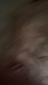 成都骚母狗联系我可包养